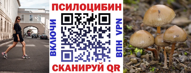 Псилоцибиновые грибы MAGIC MUSHROOMS  Купить закладки  Гаджиево 