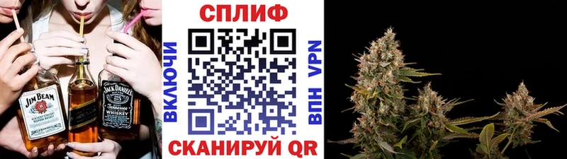 Конопля тримм  Купить закладки  Гаджиево 